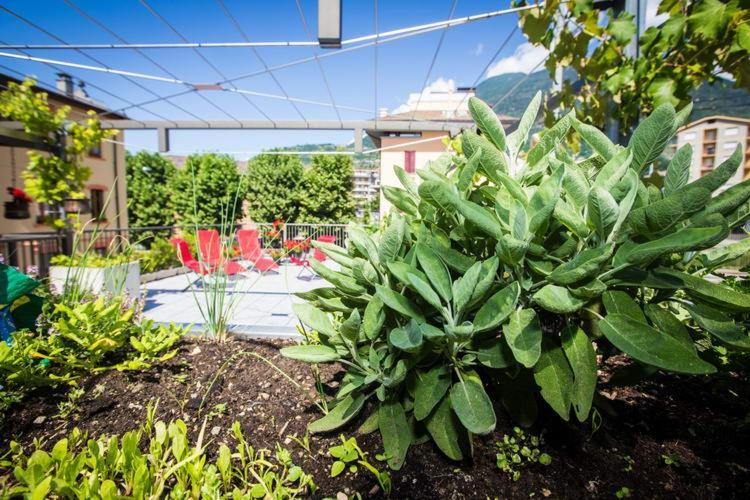 B&B Panemiele Sondrio Exterior photo